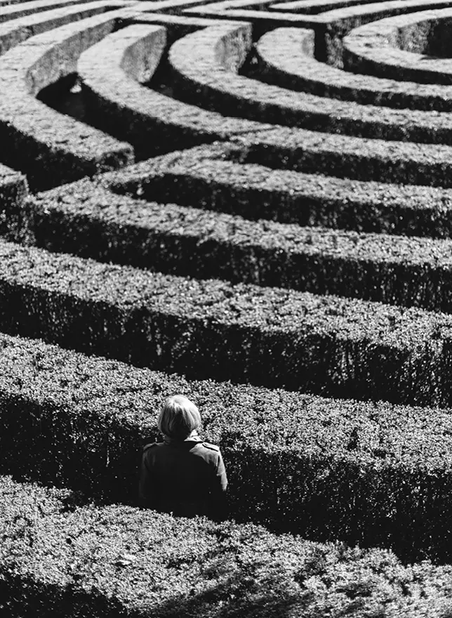 The labyrinth of probate by Dan Marsden at Probate.Auction